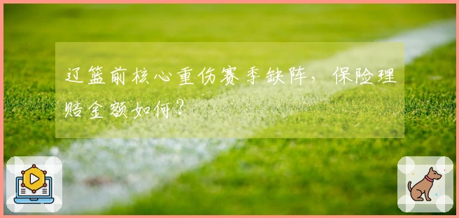 辽篮前核心重伤赛季缺阵，保险理赔金额如何？