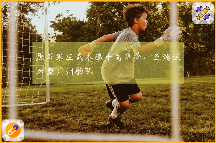 原石家庄武术选手高华泽、王靖斌加盟广州豹队