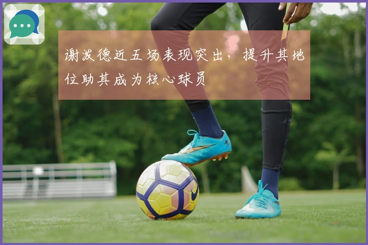 谢泼德近五场表现突出，提升其地位助其成为核心球员