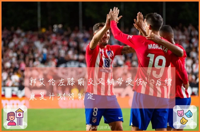 郭艾伦左膝前交叉韧带受伤，后续康复计划将制定